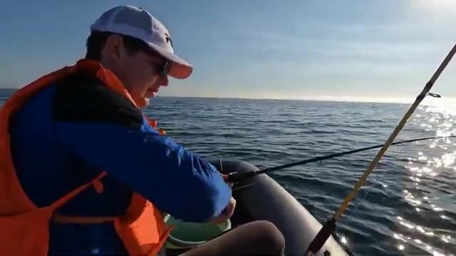 Рыбалка у острова Русский: камбала, терпуг и обрыв на глубине