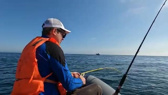 Рыбалка у острова Русский: камбала, терпуг и обрыв на глубине