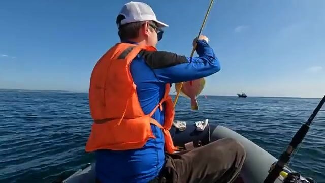 Рыбалка у острова Русский: камбала, терпуг и обрыв на глубине