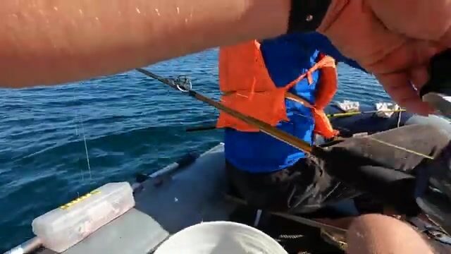 Рыбалка у острова Русский: камбала, терпуг и обрыв на глубине