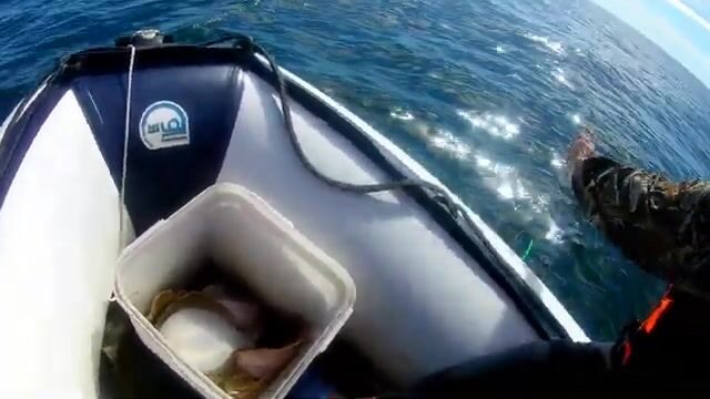 С семьей на лодке у мыса Тобизина: ловим камбалу на острове Русский