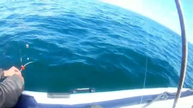 С семьей на лодке у мыса Тобизина: ловим камбалу на острове Русский