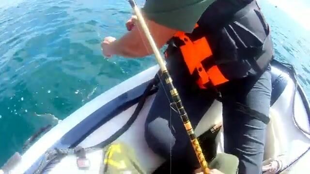 С семьей на лодке у мыса Тобизина: ловим камбалу на острове Русский