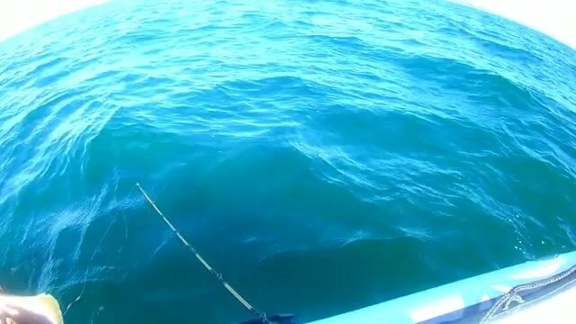 С семьей на лодке у мыса Тобизина: ловим камбалу на острове Русский