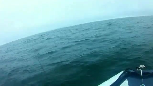 Первый выход за кальмаром ночью у мыса Вятлина на острове Русский