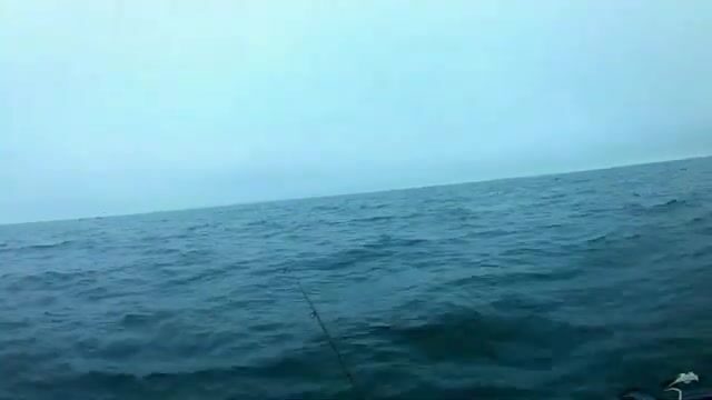 Первый выход за кальмаром ночью у мыса Вятлина на острове Русский