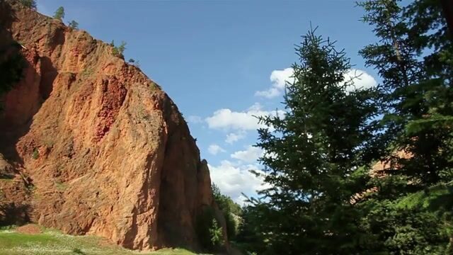 Сурис на острове Принца Эдуарда: обзор морской рыбалки на голубого тунца
