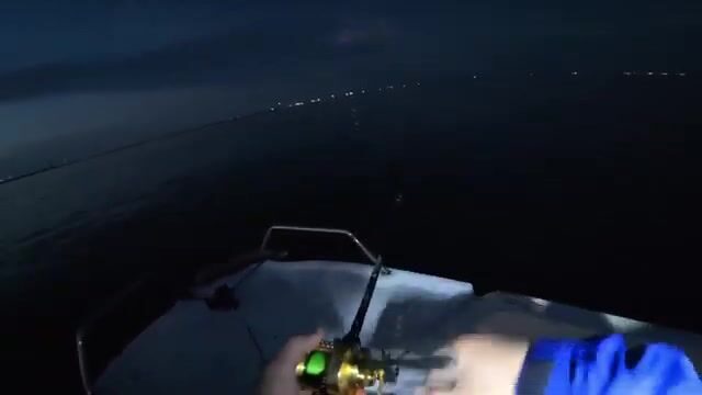 Крупный японский сибас в заливе Осаки: утренняя рыбалка с катера