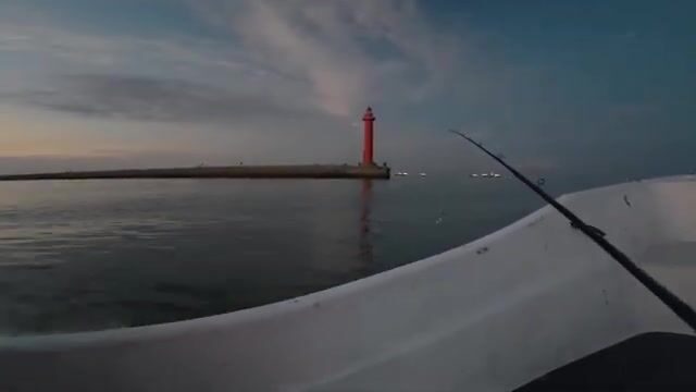 Крупный японский сибас в заливе Осаки: утренняя рыбалка с катера