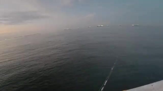 Крупный японский сибас в заливе Осаки: утренняя рыбалка с катера