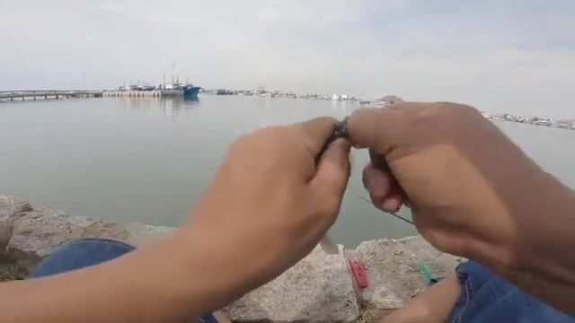 Бычки у моста Ниньчу: береговая рыбалка в спокойной бухте