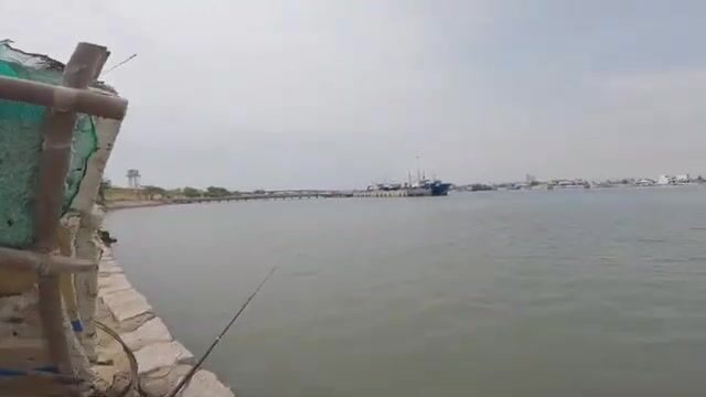 Бычки у моста Ниньчу: береговая рыбалка в спокойной бухте