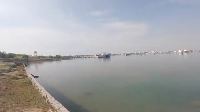 Бычки у моста Ниньчу: береговая рыбалка в спокойной бухте