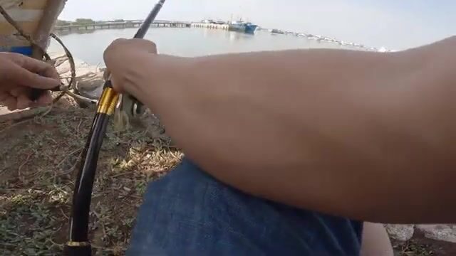 Бычки у моста Ниньчу: береговая рыбалка в спокойной бухте