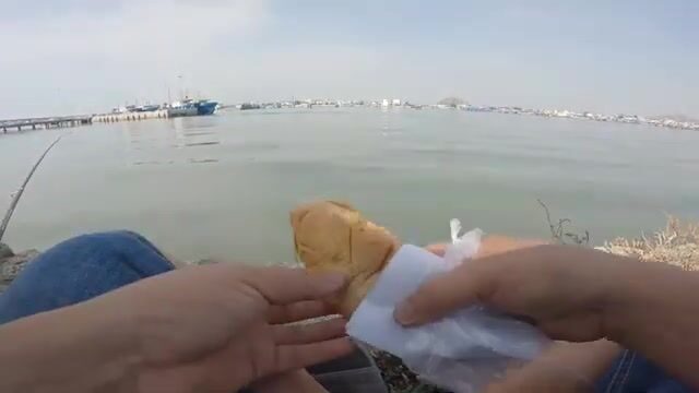 Бычки у моста Ниньчу: береговая рыбалка в спокойной бухте
