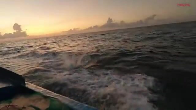 Ночной выход из Лонгхая: как рыбаки ищут косяк под водой и ставят сеть