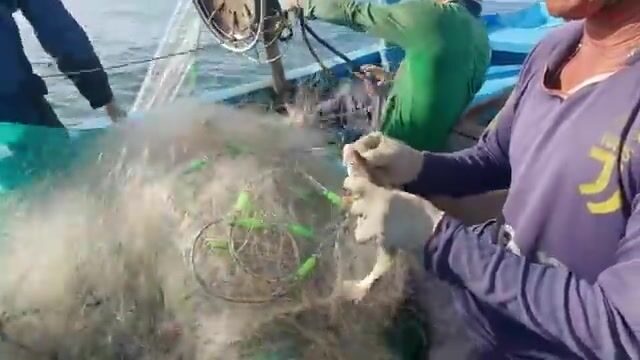 Ночной выход из Лонгхая: как рыбаки ищут косяк под водой и ставят сеть