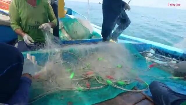 Ночной выход из Лонгхая: как рыбаки ищут косяк под водой и ставят сеть