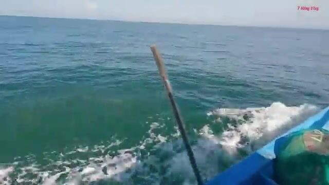 Ночной выход из Лонгхая: как рыбаки ищут косяк под водой и ставят сеть