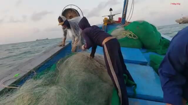 Пять дней в море у Лонгхая: рыбаки ставят сети по течению и возвращаются в родной порт