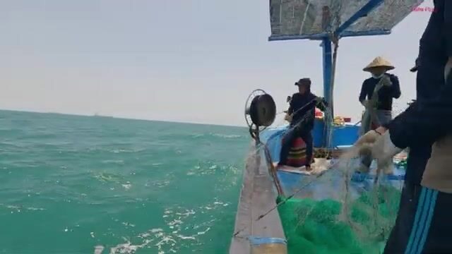 Пять дней в море у Лонгхая: рыбаки ставят сети по течению и возвращаются в родной порт