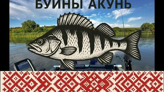 Окунь на ультралайт в Сербии: жаркий выходной на Ковинском Дунавце