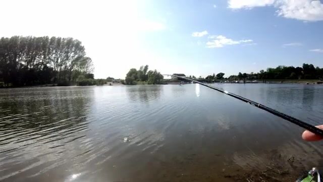 Окунь на ультралайт в Сербии: жаркий выходной на Ковинском Дунавце