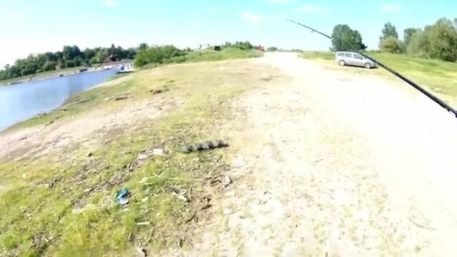 Окунь на ультралайт в Сербии: жаркий выходной на Ковинском Дунавце