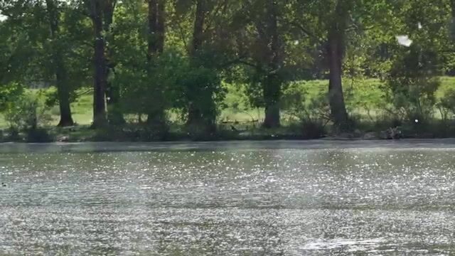 Окунь на ультралайт в Сербии: жаркий выходной на Ковинском Дунавце
