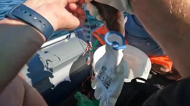 Бухта Карпинского на острове Русский: камбала, чесночный кальмар и дуплет