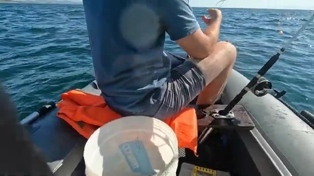 Бухта Карпинского на острове Русский: камбала, чесночный кальмар и дуплет