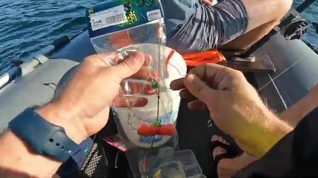 Бухта Карпинского на острове Русский: камбала, чесночный кальмар и дуплет