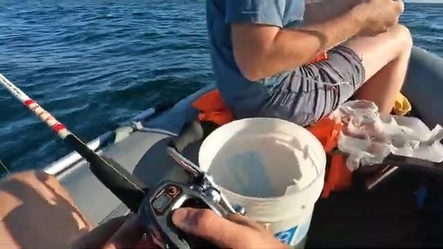 Бухта Карпинского на острове Русский: камбала, чесночный кальмар и дуплет