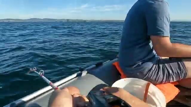 Бухта Карпинского на острове Русский: камбала, чесночный кальмар и дуплет