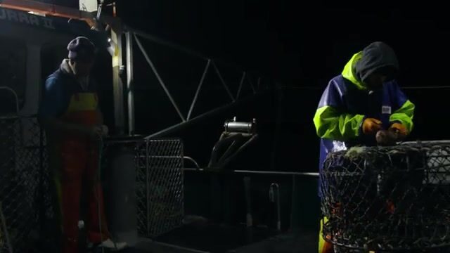 Ловля лангустов ловушками у западной Тасмании: скалы Middle Rocks и последние дни сезона