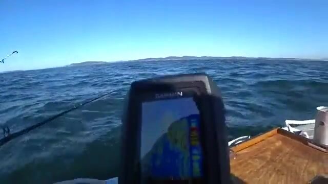 Камбала на глубине 53 метра у острова Русский: эхолот и подводная камера