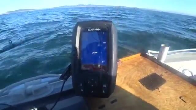 Камбала на глубине 53 метра у острова Русский: эхолот и подводная камера