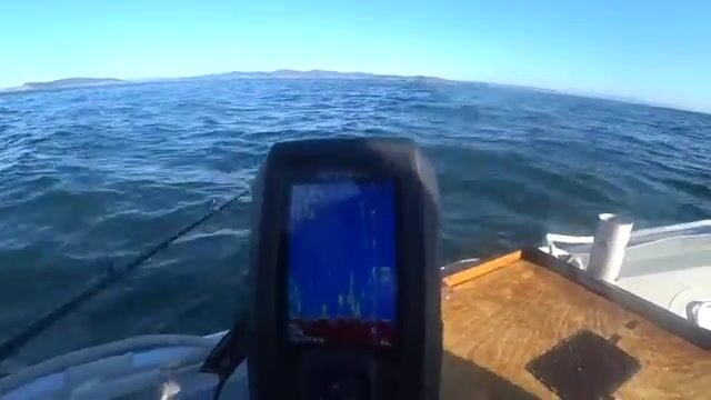 Камбала на глубине 53 метра у острова Русский: эхолот и подводная камера