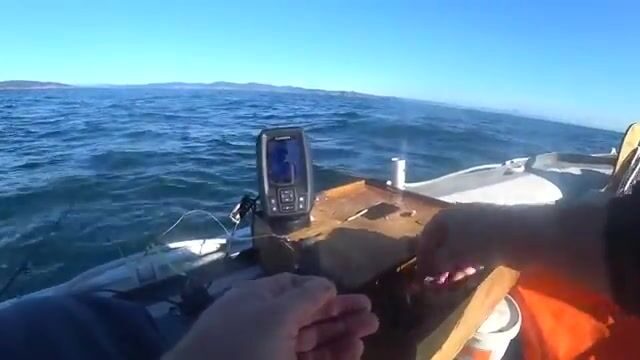 Камбала на глубине 53 метра у острова Русский: эхолот и подводная камера