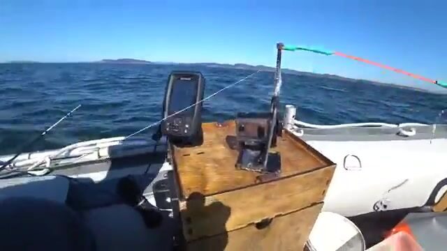 Камбала на глубине 53 метра у острова Русский: эхолот и подводная камера