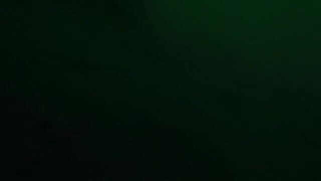 Камбала на глубине 53 метра у острова Русский: эхолот и подводная камера