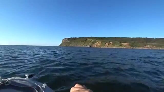 Камбала на глубине 53 метра у острова Русский: эхолот и подводная камера