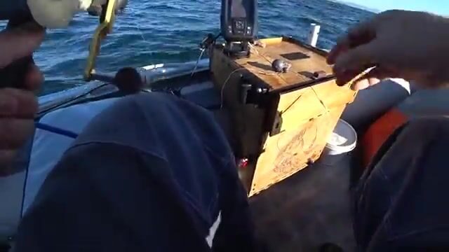 Камбала на глубине 53 метра у острова Русский: эхолот и подводная камера