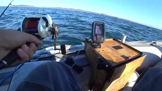 Камбала на глубине 53 метра у острова Русский: эхолот и подводная камера