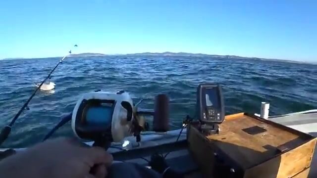 Камбала на глубине 53 метра у острова Русский: эхолот и подводная камера