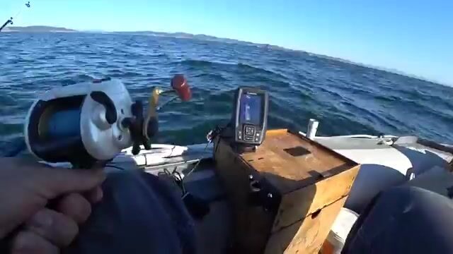 Камбала на глубине 53 метра у острова Русский: эхолот и подводная камера