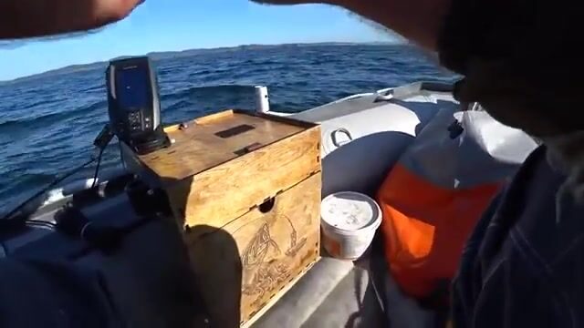Камбала на глубине 53 метра у острова Русский: эхолот и подводная камера