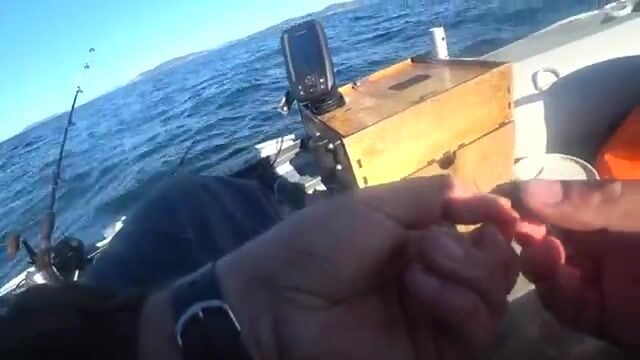 Камбала на глубине 53 метра у острова Русский: эхолот и подводная камера