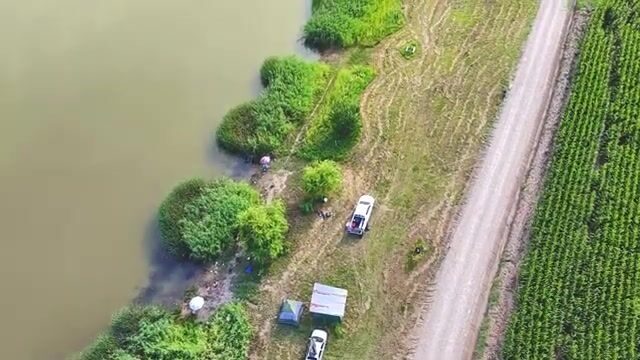 Сутки на озере Комана Маре в Румынии: караси, прикормка и сильная жара