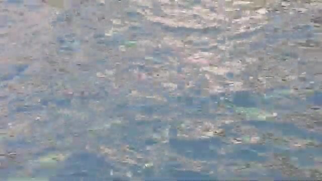 Рыба у причала Зыонгдонг на Фукуоке: лодка, порт и улов в ведре